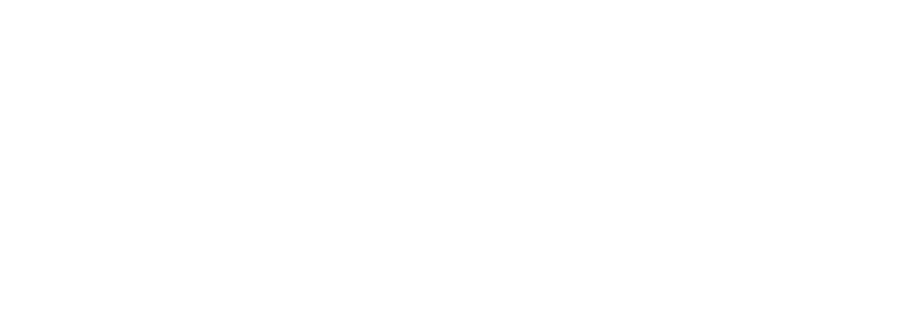 besenior logo blanco